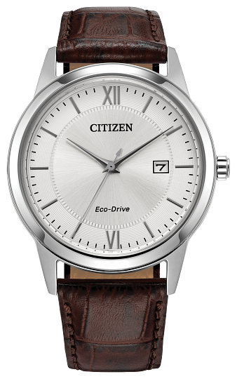 Citizen Classic Watch